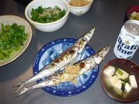 DSC01447.JPG