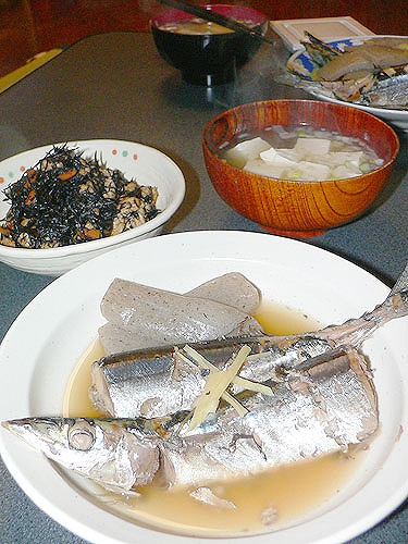P1010229.jpg
